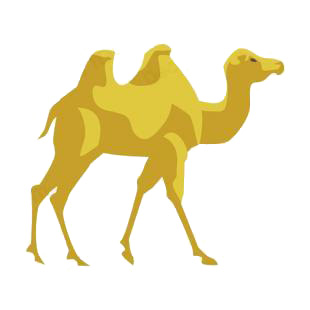 Camel listed in african decals.