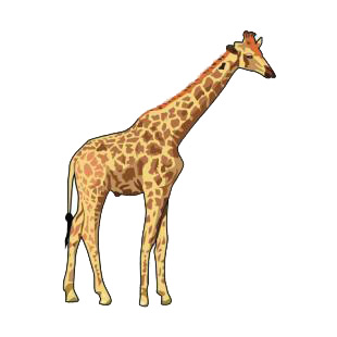 Giraffe listed in african decals.