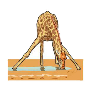 Giraffe drinking water listed in african decals.