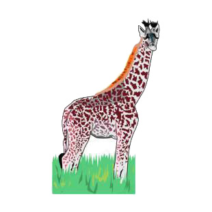 Giraffe listed in african decals.