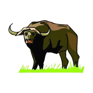 Bison listed in african decals.