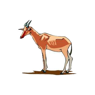 Hartebeest listed in african decals.