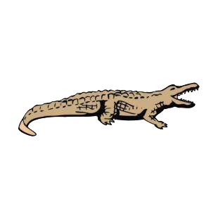 Crocodile with mouth open listed in amphibians decals.