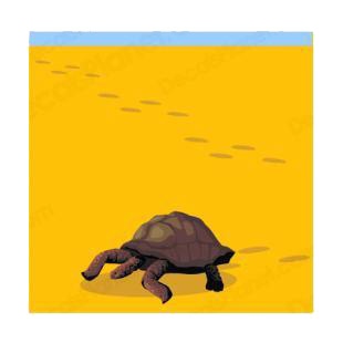 Turtle walking on sand listed in amphibians decals.