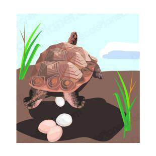 Tortoise laying eggs listed in amphibians decals.