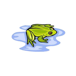 Frog listed in amphibians decals.