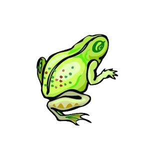 Frog listed in amphibians decals.