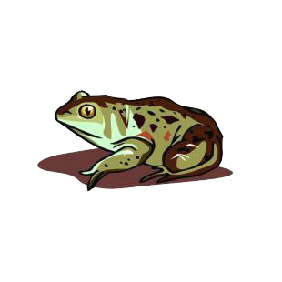 Frog listed in amphibians decals.