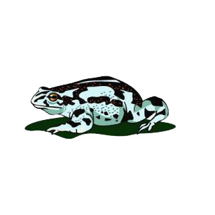 Frog listed in amphibians decals.