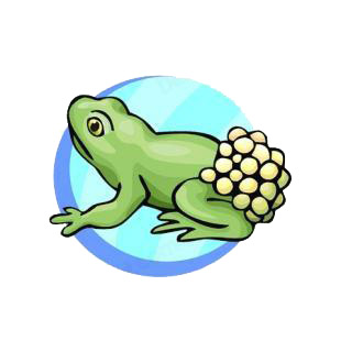 Frog listed in amphibians decals.