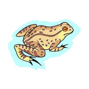 Frog listed in amphibians decals.