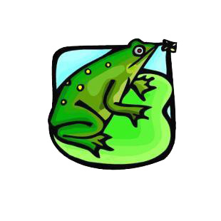 Frog listed in amphibians decals.