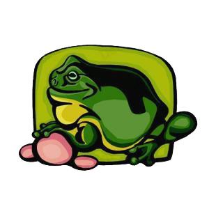 Toad listed in amphibians decals.