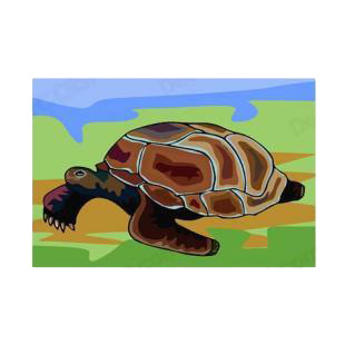 Giant tortoise listed in amphibians decals.