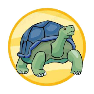 Giant tortoise listed in amphibians decals.