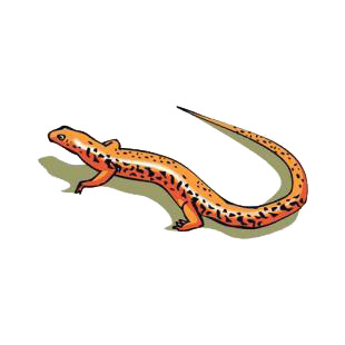 Lizard listed in amphibians decals.