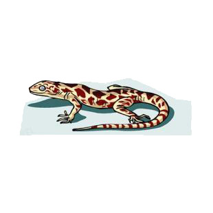 Lizard listed in amphibians decals.