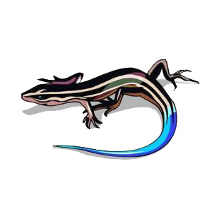 Lizard listed in amphibians decals.