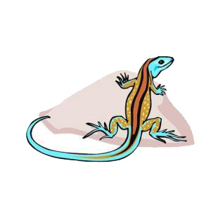 Lizard listed in amphibians decals.