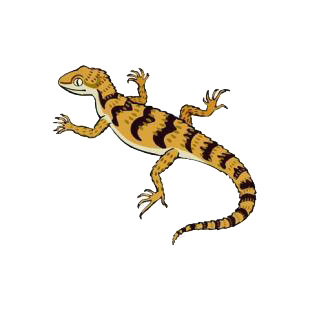 Lizard listed in amphibians decals.