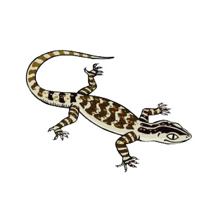 Lizard listed in amphibians decals.