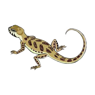 Lizard amphibians decals, decal sticker #5053