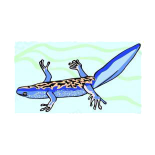 Lizard listed in amphibians decals.