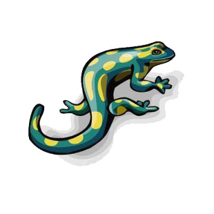 Lizard listed in amphibians decals.