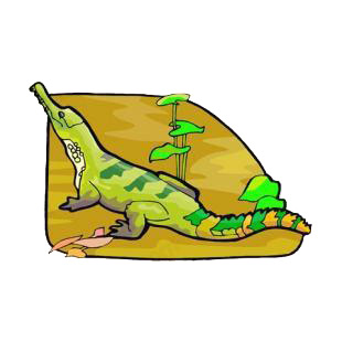 Alligator listed in reptiles decals.