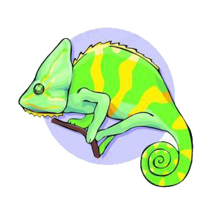 Chameleon listed in reptiles decals.