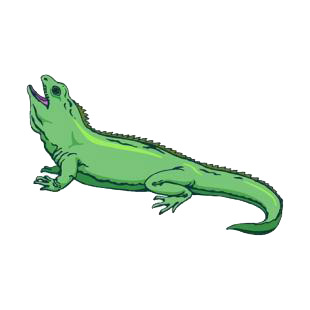 Iguana listed in reptiles decals.