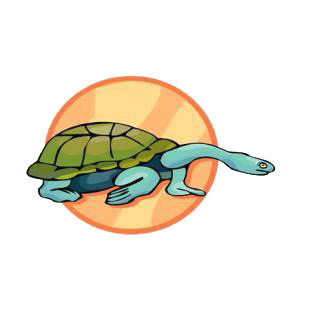 Turtle listed in amphibians decals.