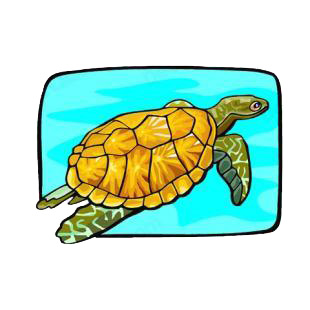 Turtle swimming listed in amphibians decals.