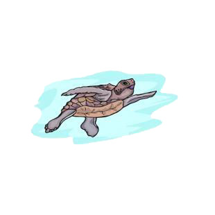 Turtle swimming listed in amphibians decals.