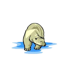 Polar bear listed in bears decals.