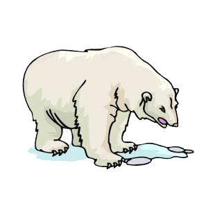 Polar bear listed in bears decals.