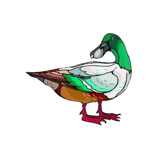 Duck listed in birds decals.