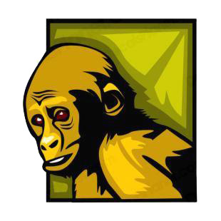 Monkey listed in monkeys decals.