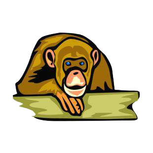 Chimpanzee listed in monkeys decals.