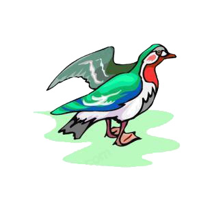 Duck listed in birds decals.