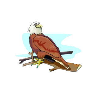 Eagle on twig listed in birds decals.