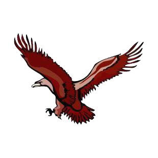 Eagle flying listed in birds decals.