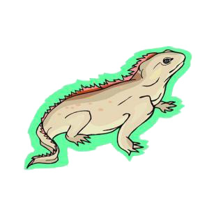 Iguana listed in reptiles decals.