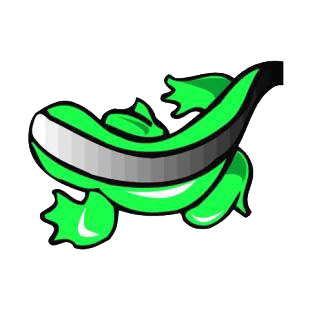 Salamander listed in reptiles decals.