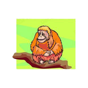 Orangutan listed in monkeys decals.