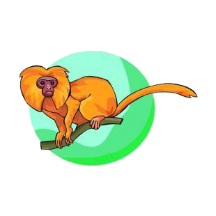 Tamarin listed in monkeys decals.