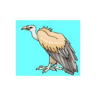 Vulture listed in birds decals.