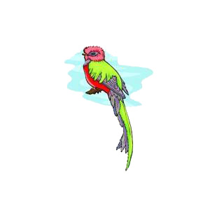 Exotic bird listed in birds decals.