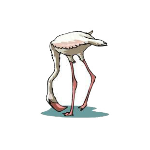White flamingo listed in birds decals.