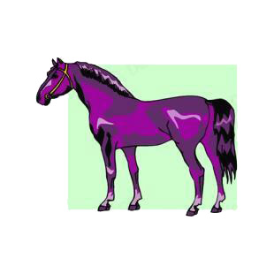 Purple horse listed in horse decals.